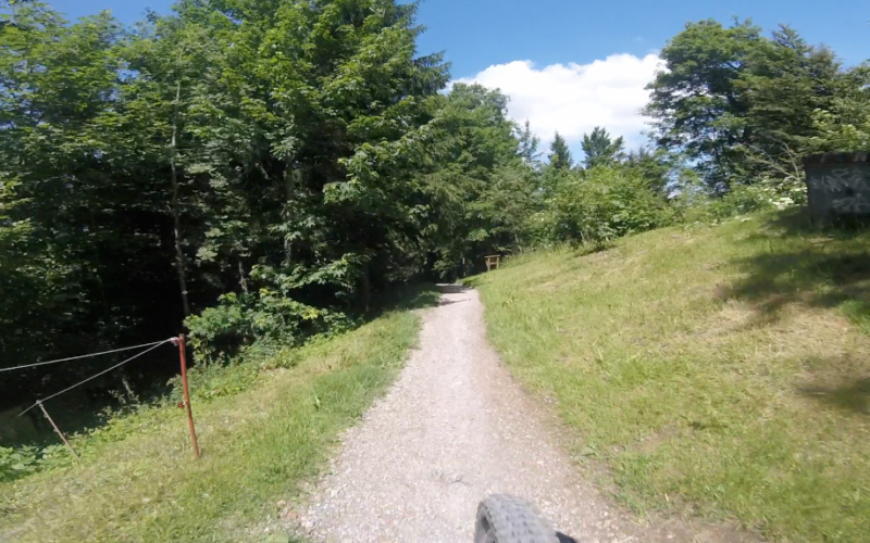 Der Bachtel Trail
